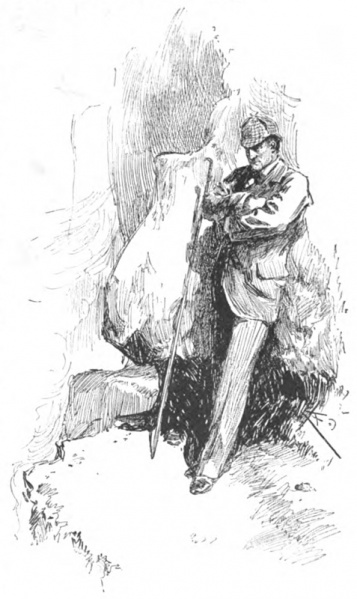 File:Illus-fina-edwards-08.jpg