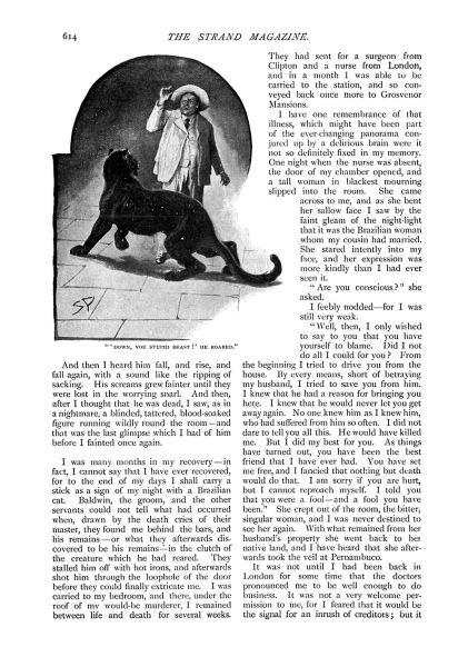 File:The-strand-magazine-1898-12-the-story-of-the-brazilian-cat-p614.jpg