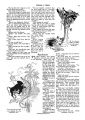 Thumbnail for version as of 01:01, 21 January 2021
