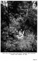 Thumbnail for version as of 00:15, 10 August 2015