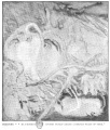 Thumbnail for version as of 16:19, 11 February 2018