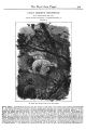 Thumbnail for version as of 14:05, 1 April 2024