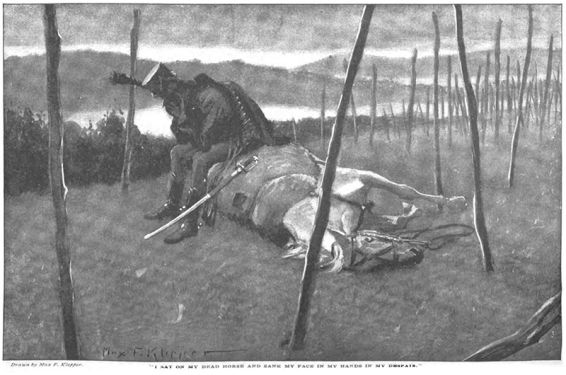 "I sat on my dead horse and sank my face in my hands in my despair."