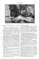 Thumbnail for version as of 16:46, 20 October 2024
