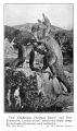 Thumbnail for version as of 00:51, 24 August 2024