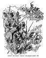 Thumbnail for version as of 17:37, 9 November 2024