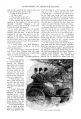 Thumbnail for version as of 16:22, 27 March 2019