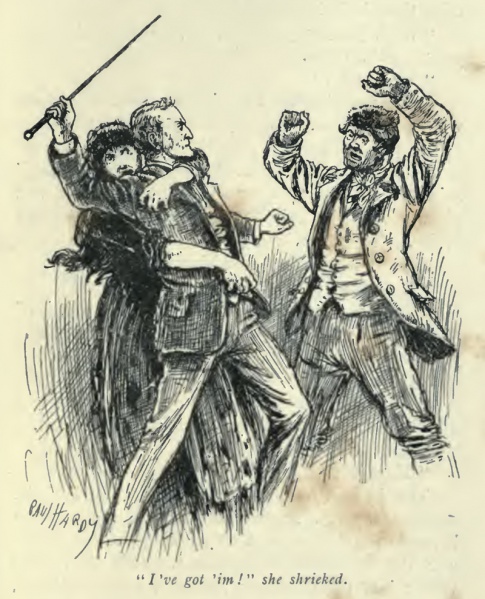 File:J-w-arrowsmith-1893-the-great-shadow-beyond-the-city-p293-illus.jpg