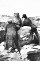 Thumbnail for version as of 23:39, 18 February 2018