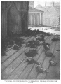 Thumbnail for version as of 22:18, 7 March 2013