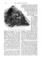 Thumbnail for version as of 00:00, 14 October 2024