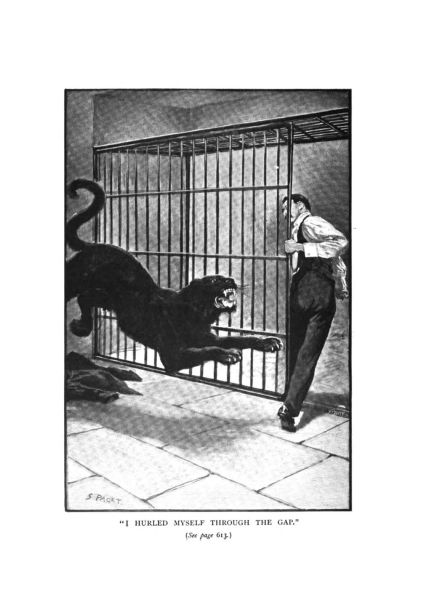 File:The-strand-magazine-1898-12-the-story-of-the-brazilian-cat-p602.jpg