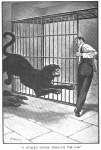 Brazilian-cat-strand-dec-1898-1.jpg
