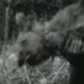Thumbnail for version as of 18:35, 11 December 2016