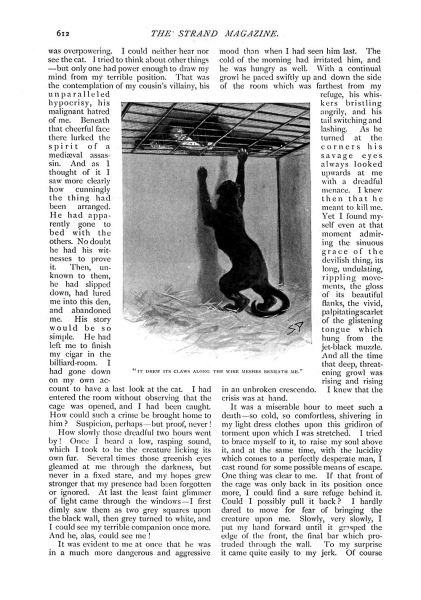 File:The-strand-magazine-1898-12-the-story-of-the-brazilian-cat-p612.jpg