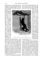 Thumbnail for version as of 21:00, 19 July 2024