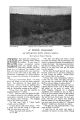 Thumbnail for version as of 14:58, 12 October 2024