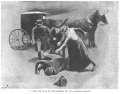 Thumbnail for version as of 17:30, 18 December 2012