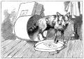 Thumbnail for version as of 20:01, 25 April 2021