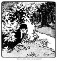 Thumbnail for version as of 11:41, 18 May 2023