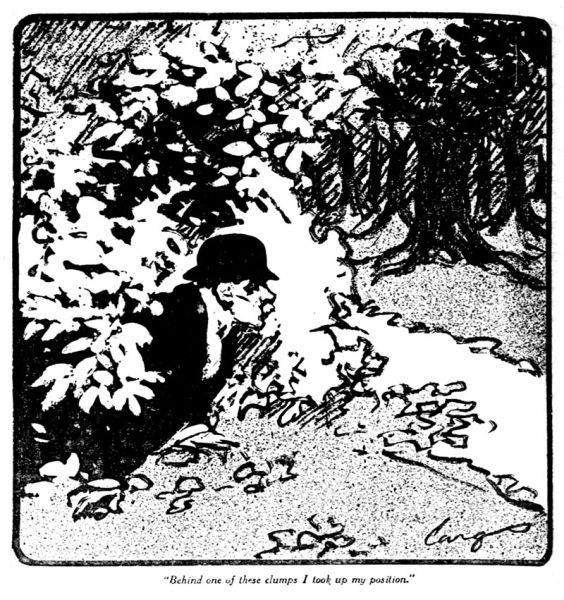 File:The-chicago-tribune-1911-07-09-part8-p8-soli-illu.jpg