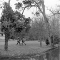 Thumbnail for version as of 18:13, 21 June 2017