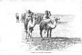 Thumbnail for version as of 21:54, 15 June 2017