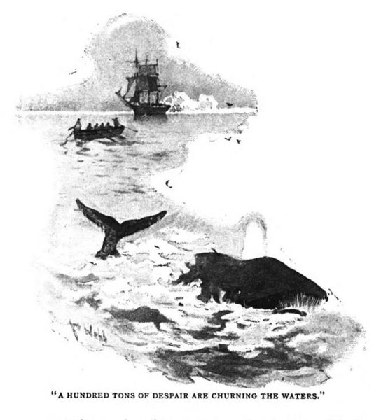 File:The-idler-1892-07-p626-the-glamour-of-the-arctic-illu.jpg