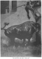 Thumbnail for version as of 17:03, 9 December 2012