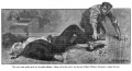 Thumbnail for version as of 22:19, 5 January 2019