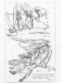 Thumbnail for version as of 19:41, 26 December 2013
