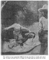 Thumbnail for version as of 00:51, 6 January 2019