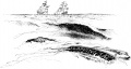 Thumbnail for version as of 16:27, 25 February 2013