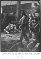 Thumbnail for version as of 00:03, 5 July 2016