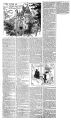 Thumbnail for version as of 14:48, 17 May 2023