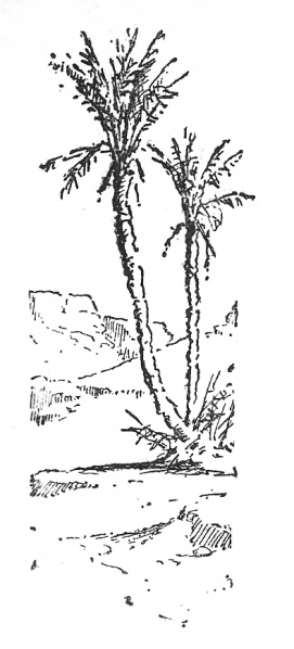 File:Hodder-and-stoughton-princess-mary-s-gift-book-1914-11-p26-bimbashi-joyce-illu.jpg