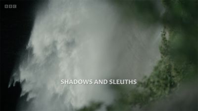 Episode 3: Shadows and Sleuths