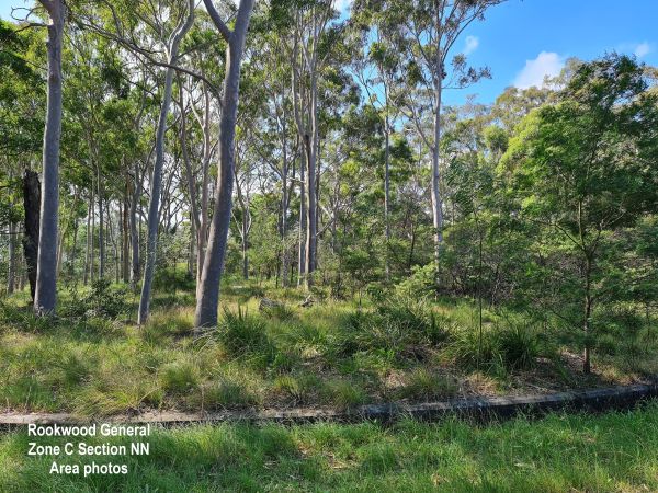 Rookwood General Cemetery, Zone C Section NN area. (Photo courtesy John Godl)