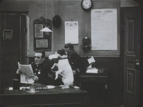 Spot brings the letter to the Police Station.