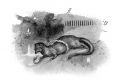 Thumbnail for version as of 22:58, 21 June 2021