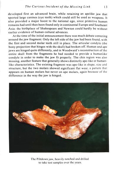 File:The-battered-silicon-dispatch-box-2018-01-the-curious-incident-p13.jpg