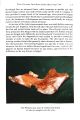 Thumbnail for version as of 12:06, 22 May 2026