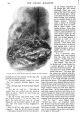 Thumbnail for version as of 16:46, 20 October 2024