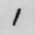 1-Letter-acd-1889-01-19-mystery-of-cloomber.jpg