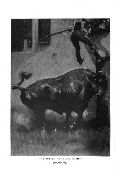 File:The-strand-magazine-1910-09-the-marriage-of-the-brigadier-p258.jpg