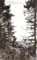 Thumbnail for version as of 20:47, 8 March 2026