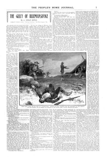 File:The-people-s-home-journal-1900-05-p7-the-gully-of-bluemansdyke.jpg