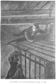 Thumbnail for version as of 19:08, 26 March 2017
