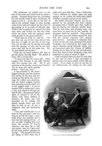 File:The-strand-magazine-1898-12-the-story-of-the-brazilian-cat-p607.jpg