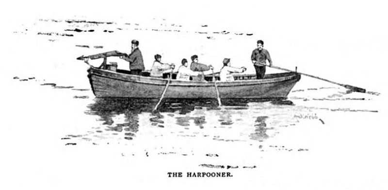 File:The-idler-1892-07-p629-the-glamour-of-the-arctic-illu1.jpg